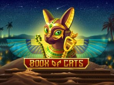 Book of Cats slot game