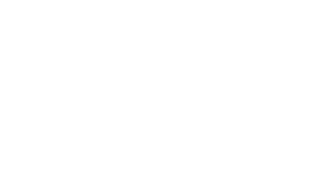 Aviatrix Provider.